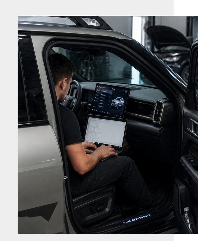 Русификация BYD Leopard 3 в Ялте по цене от 20330 р. | ФастМобиль-Ялт